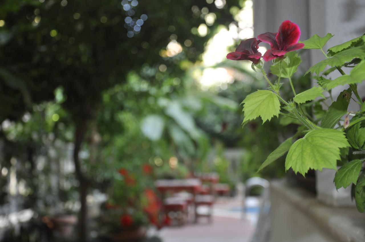 Hotel Villa Casablanca Bahtili Εξωτερικό φωτογραφία